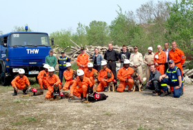 Search and Rescue Dogs